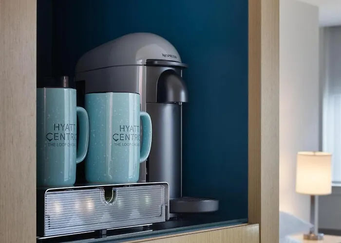 Hyatt Centric The Loop Hotel Chicago